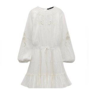 Zara Embroidered Mini Dress